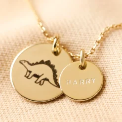 Personalised Dinosaur Disc Necklace -Jellycat Christmas Store 0v8a9931copy 900x900 1