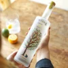 70cl Sapling Gin -Jellycat Christmas Store 70cl sapling gin 4x3a9086 900x900 1