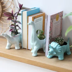 Green Diplodocus Dinosaur Planter, H8cm 7 Green Diplodocus Dinosaur Planter, H8cm -Jellycat Christmas Store dinosaur planters 0v8a0296 900x900 1