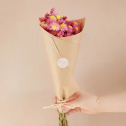 Dried Pink Acroclinium Daisy Bunch