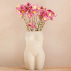 Dried Pink Acroclinium Daisy Bunch -Jellycat Christmas Store dried pink acroclinium daisy bunch 443a5596 900x900 1