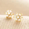 Gold Sterling Silver Crystal Flower Stud Earrings 1 Gold Sterling Silver Crystal Flower Stud Earrings -Jellycat Christmas Store gold sterling silver flower crystal cluster stud earrings4x3a2966 2 900x900 1