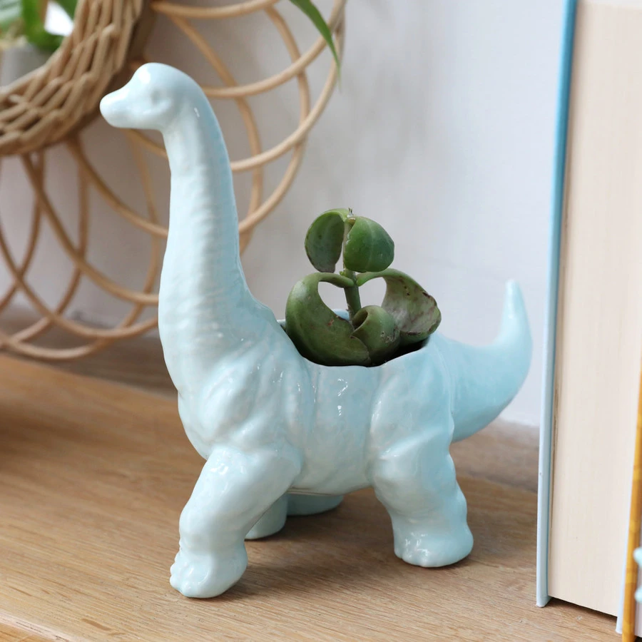 Green Diplodocus Dinosaur Planter, H8cm 3 Green Diplodocus Dinosaur Planter, H8cm