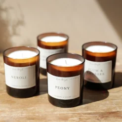 Lisa Angel Lime, Basil & Mandarin Scented Soy Candle 9 Lisa Angel Lime, Basil & Mandarin Scented Soy Candle -Jellycat Christmas Store lisa angel scented soy candle 443a5672 900x900 1