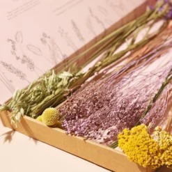 Long Stem Bright Dried Flower Letterbox Bouquet 9 Long Stem Bright Dried Flower Letterbox Bouquet -Jellycat Christmas Store long stem bright dried flower letterbox bouquet 0v8a8684 900x900 1