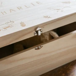 Personalised Name Dinosaur Wooden Hamper Box -Jellycat Christmas Store personalised name dinosaur wooden hamper box o21a3137 900x900 1