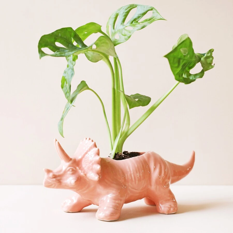 Pink Triceratops Dinosaur Planter 3 Pink Triceratops Dinosaur Planter
