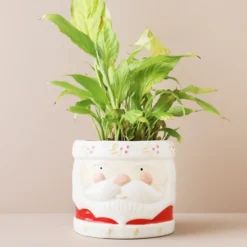 Small Ceramic Father Christmas Planter -Jellycat Christmas Store small ceramic father christmas planter 4x3a5621 900x900 1