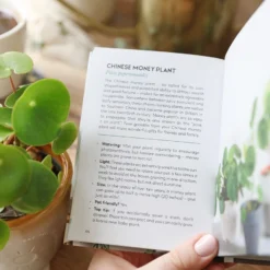 The Little Book Of House Plants And Other Greenery -Jellycat Christmas Store the little book of house plants and other greenery 0v8a1528 900x900 1