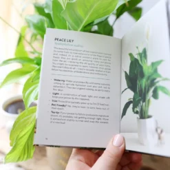 The Little Book Of House Plants And Other Greenery -Jellycat Christmas Store the little book of house plants and other greenery 0v8a1533 900x900 1