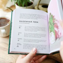 The Little Book Of House Plants And Other Greenery -Jellycat Christmas Store the little book of house plants and other greenery 0v8a1548 900x900 1