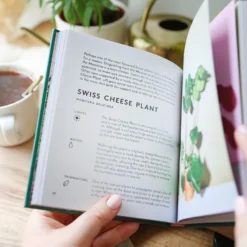 The Little Book Of House Plants And Other Greenery -Jellycat Christmas Store the little book of house plants and other greenery 0v8a1552 900x900 1