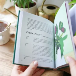 The Little Book Of House Plants And Other Greenery -Jellycat Christmas Store the little book of house plants and other greenery 0v8a1553 900x900 1