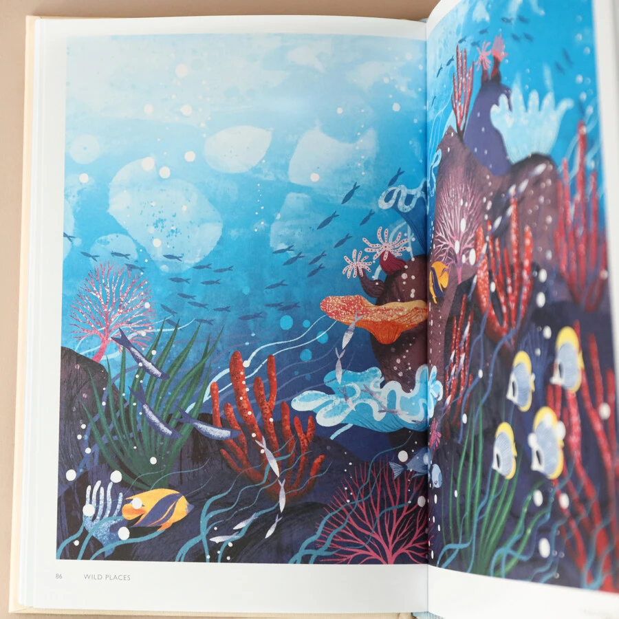 Wild Places Book 4 Wild Places Book - Image 2